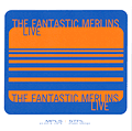 The Fantastic Merlins: Live Cover